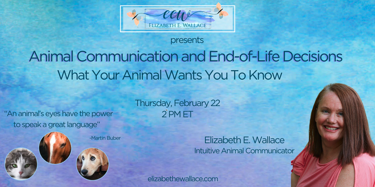 learn about animal communication - end-of-life