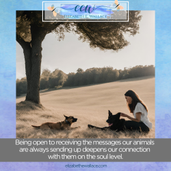 animal communication - deepening connection 