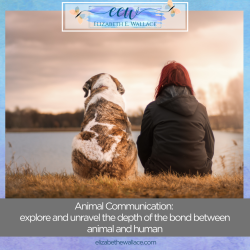 animal communication - deep bonds