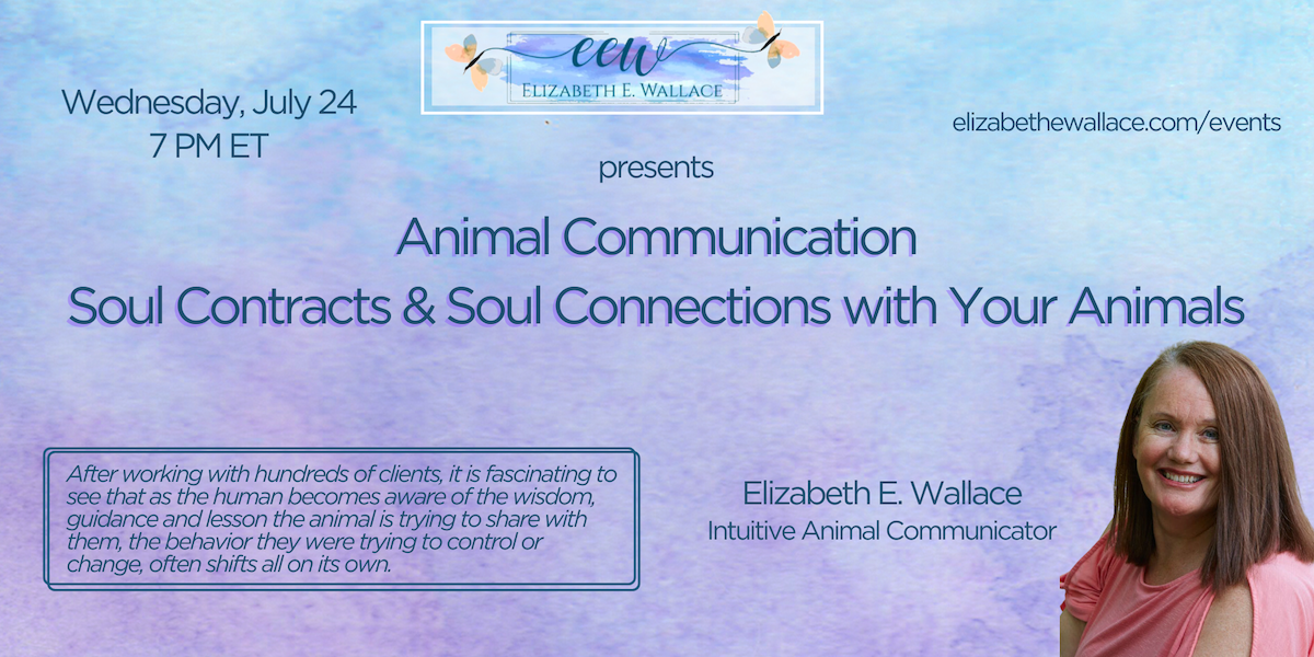 soul contracts and animal communications