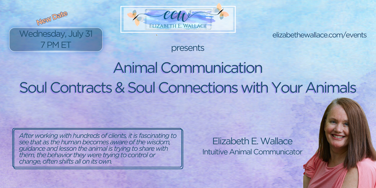 understand animal connections and behavior